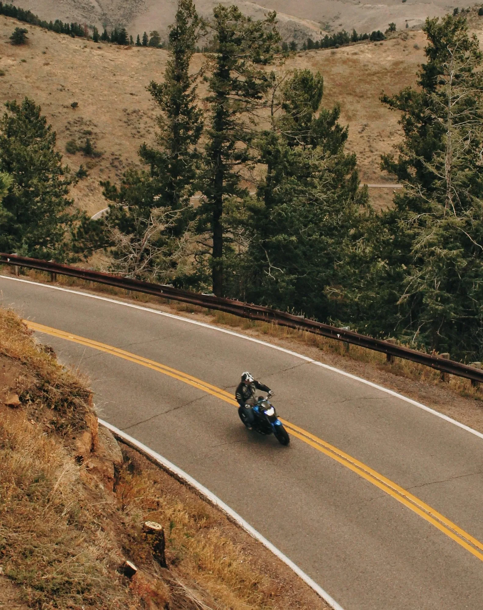 A motorcyclist riding a winding canyon road through the Colorado foothills